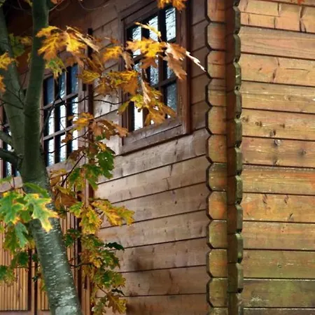 Ibaigune Hotell